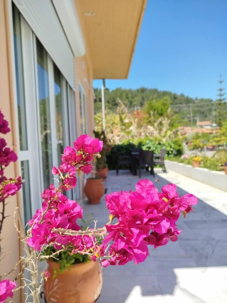 Ammos House Katakolo - By The Sea Villa Екстериор снимка